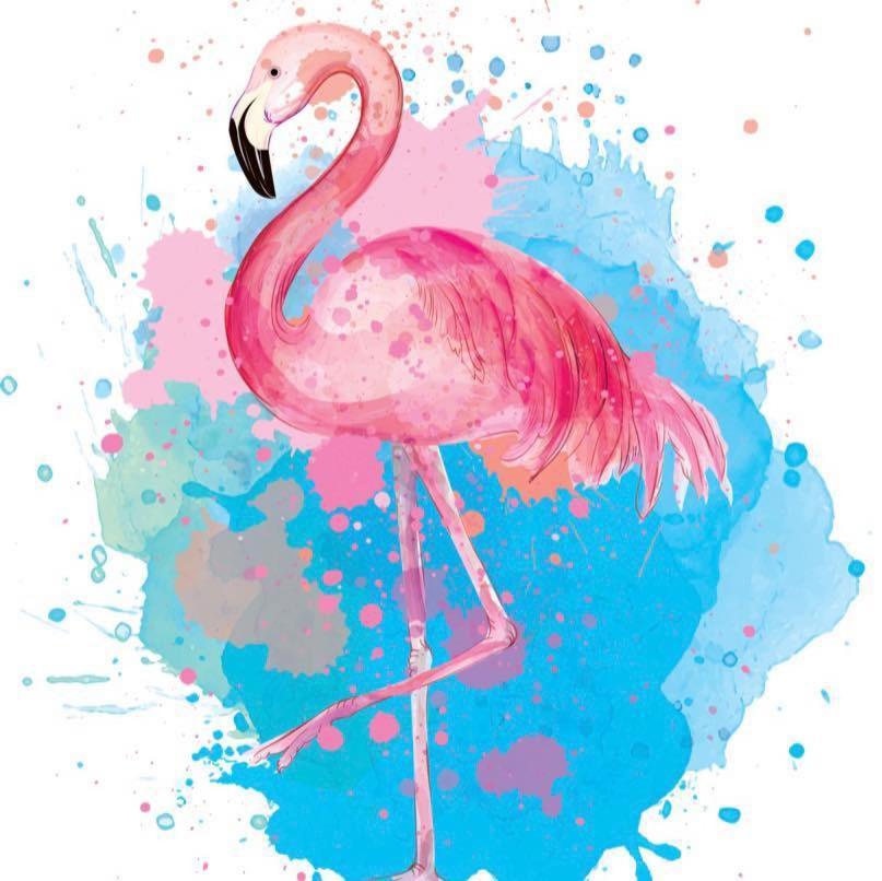 Flamingo 2* Elk City