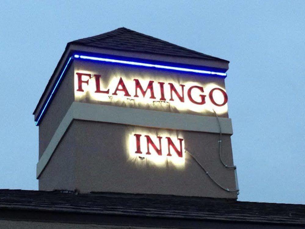 Flamingo Motel