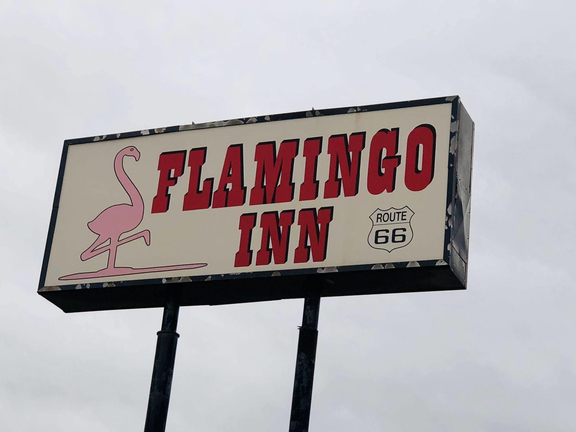 Flamingo